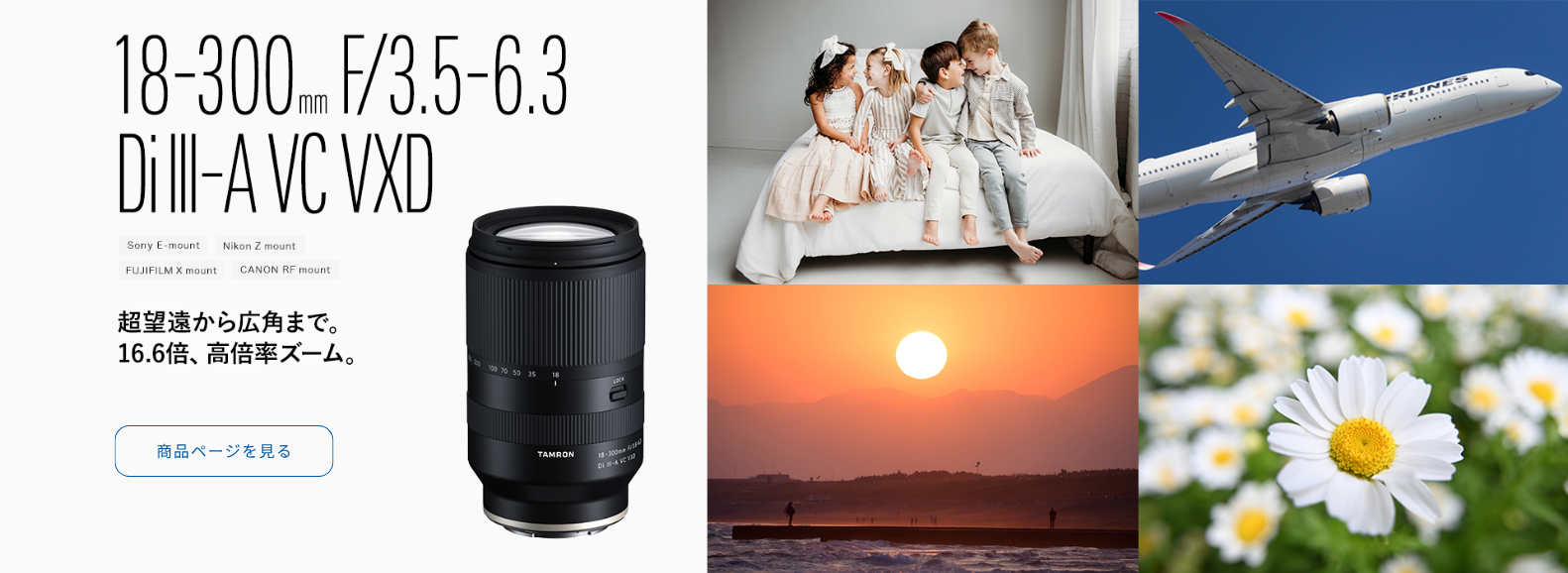 18-300mm F/3.5-6.3 Di III-A VC VXD